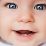 Dentinhos do Bebê