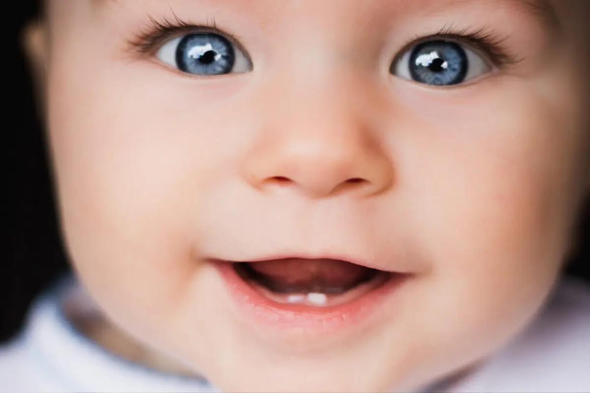 Dentinhos do Bebê